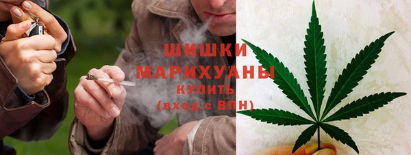 мяу мяу мука Беломорск