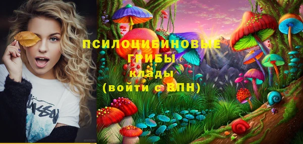 jwh Белокуриха