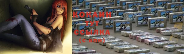jwh Белокуриха
