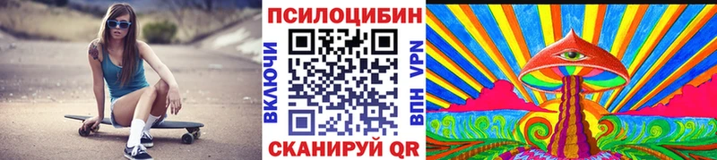 Купить  Александров  Галлюциногенные грибы MAGIC MUSHROOMS 